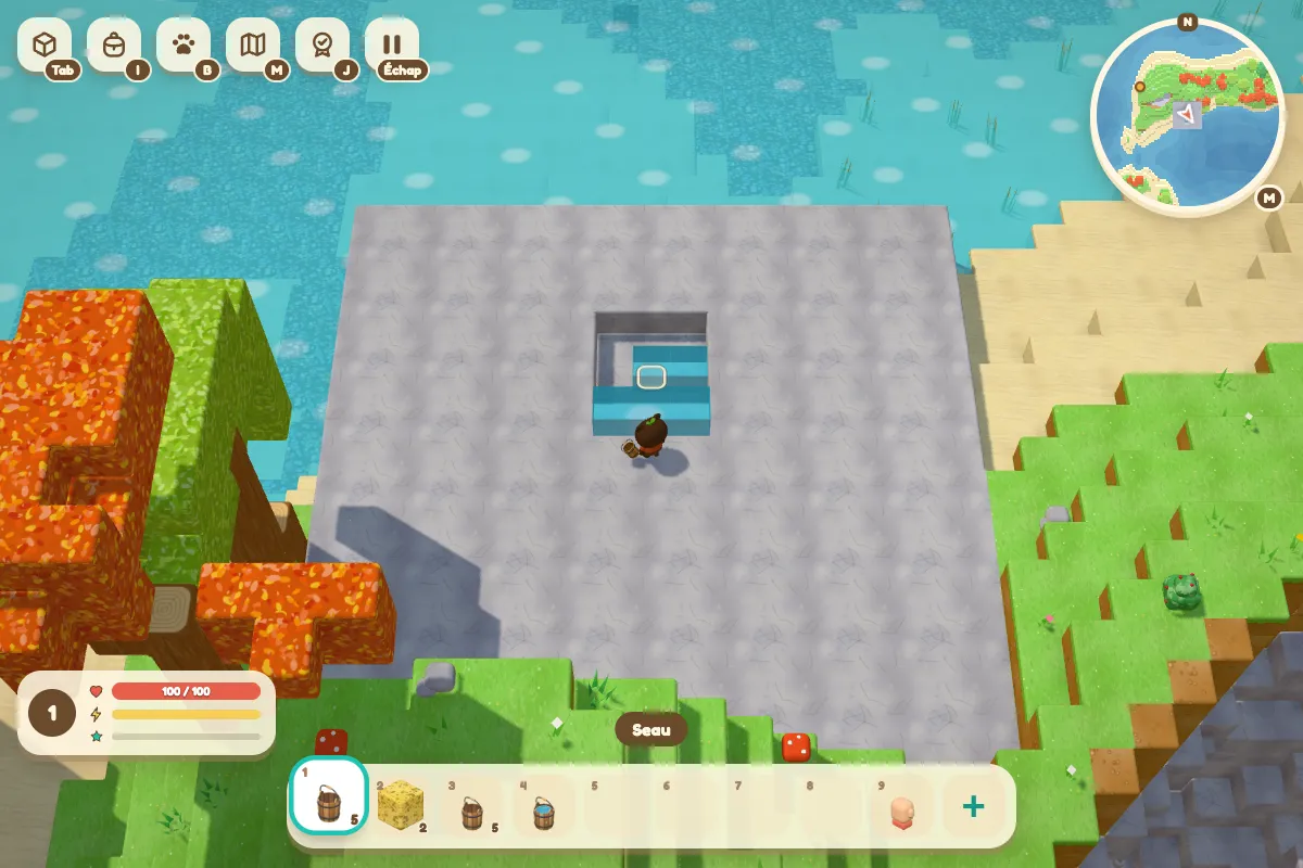 A small pool dug into a stone platform, with the character holding a bucket.